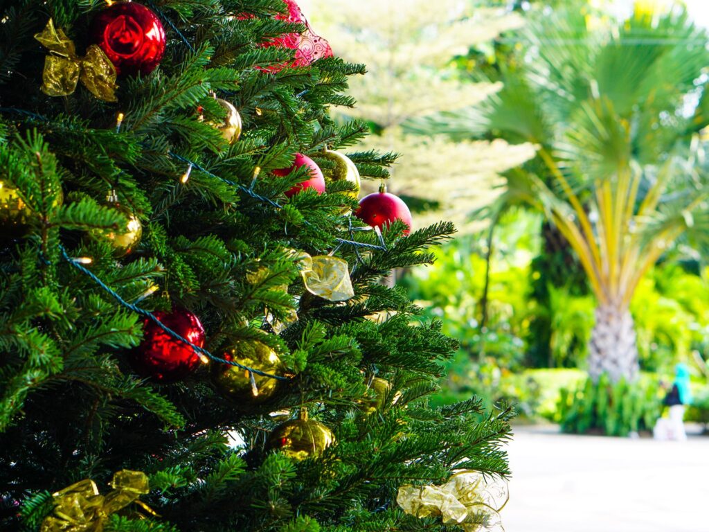 Weihnachtsbaum neben einer Palme